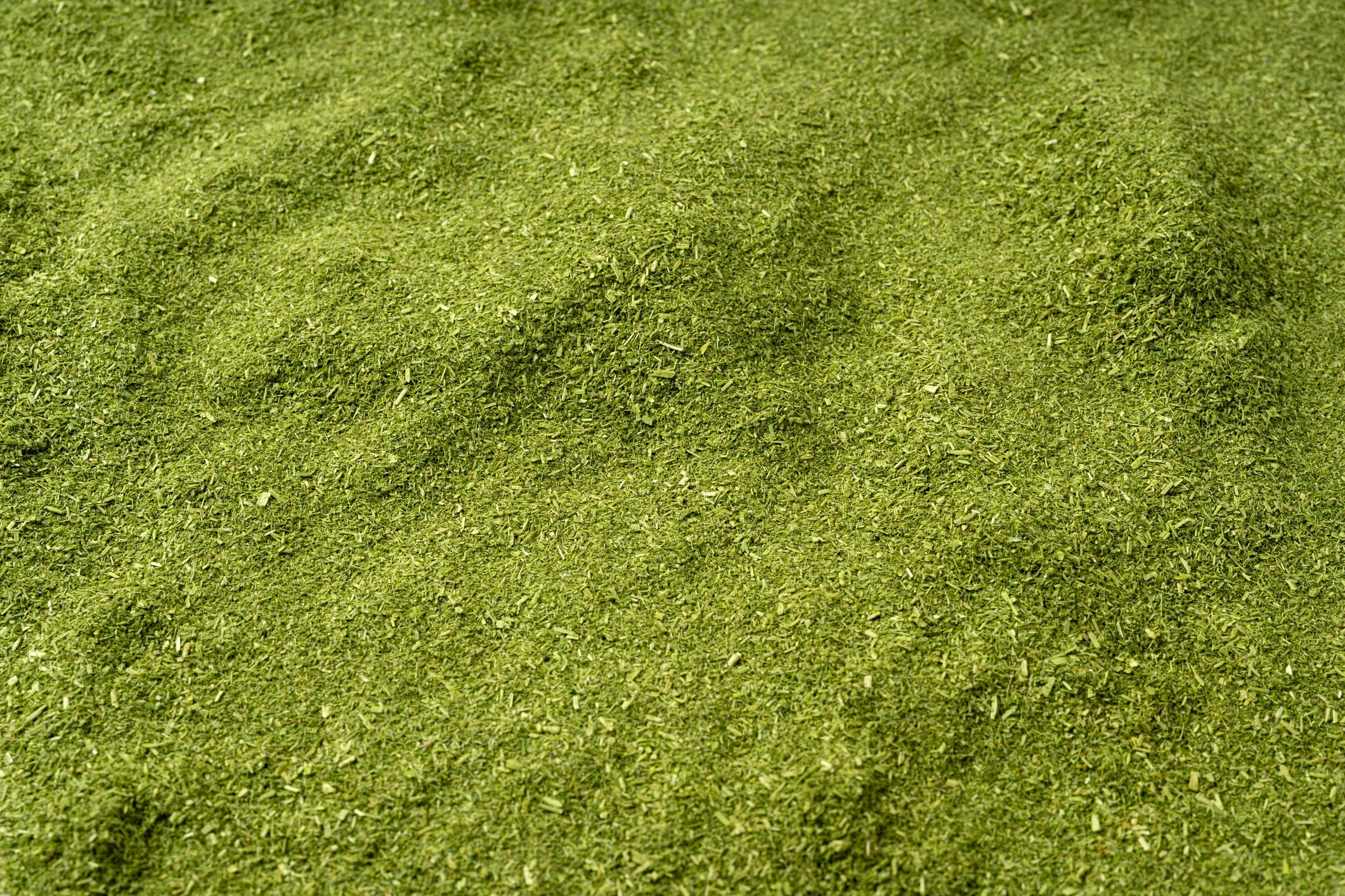 Moringa Powder