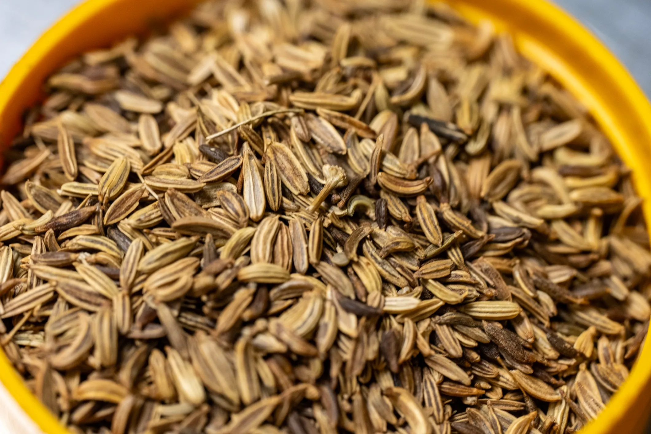 Seeds & Oilseeds